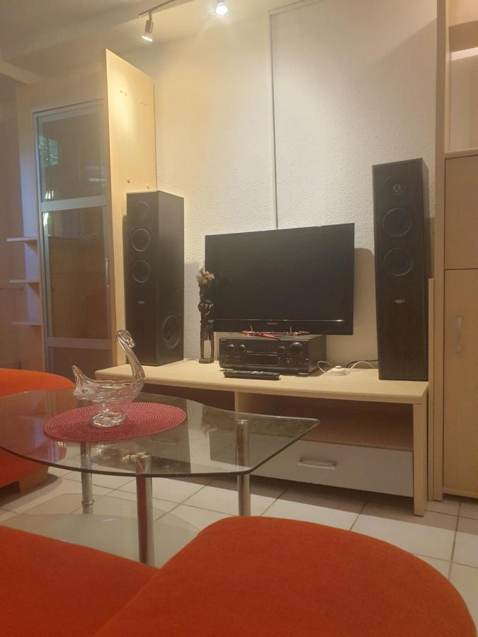 Sions Grosse Ferienwohnung Ferienwohnung Mit 3 Schlafzimmer, 2 Km Bis Zum Europapark Rust Kappel-Grafenhausen Εξωτερικό φωτογραφία